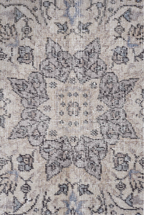 Antique Sparta Area Rug (7' x 12')